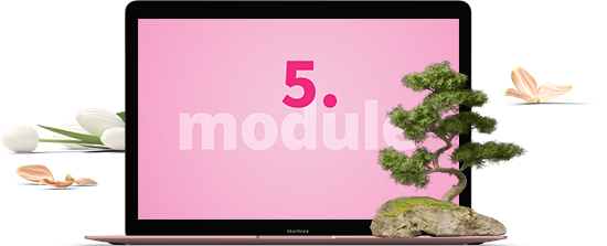 module5-2021
