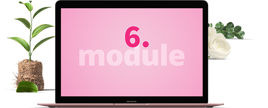 module6-2021